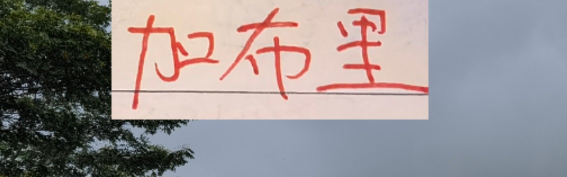 是走还是留？ 海港加布里埃尔国内跟国外说法不一样